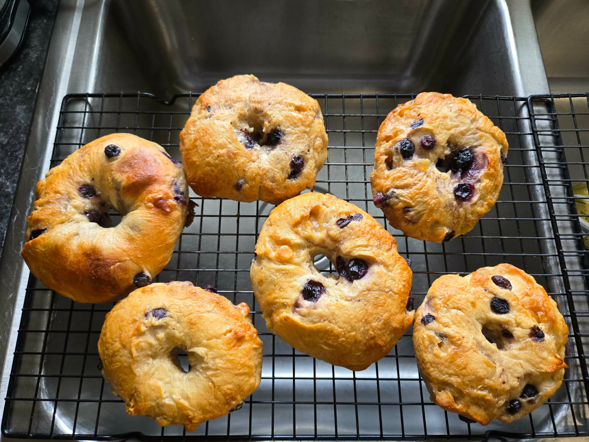 Six hand-rolled blueberry bagels on a cooling rack